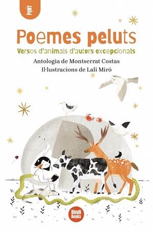 POEMES PELUTS | 9791387594251 | COSTAS, MONTSERRAT | Llibres Parcir | Llibreria Parcir | Llibreria online de Manresa | Comprar llibres en català i castellà online