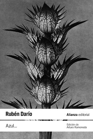AZUL... | 9788411480949 | DARÍO, RUBÉN | Llibres Parcir | Llibreria Parcir | Llibreria online de Manresa | Comprar llibres en català i castellà online