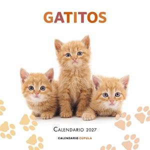 CALENDARIO GATITOS 2027 | 9788448049300 | AA. VV. | Llibres Parcir | Llibreria Parcir | Llibreria online de Manresa | Comprar llibres en català i castellà online
