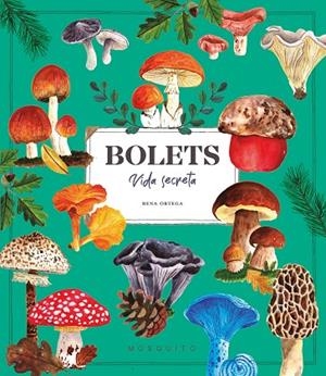 BOLETS. VIDA SECRETA | 9788410417687 | ORTEGA, RENA | Llibres Parcir | Llibreria Parcir | Llibreria online de Manresa | Comprar llibres en català i castellà online