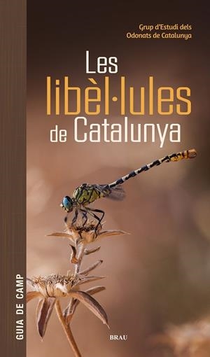 LES LIBÈL·LULES DE CATALUNYA | 9791387701178 | GRUP D'ESTUDIS DELS ODONATS DE CATALUNYA | Llibres Parcir | Llibreria Parcir | Llibreria online de Manresa | Comprar llibres en català i castellà online