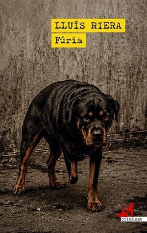 FÚRIA | 9791388174247 | RIERA, LLUIS | Llibres Parcir | Llibreria Parcir | Llibreria online de Manresa | Comprar llibres en català i castellà online