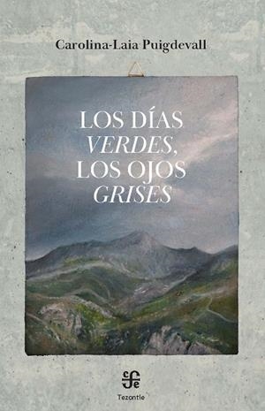 LOS DÍAS VERDES, LOS OJOS GRISES | 9788437508658 | PUIGDEVALL CLAVER, CAROLINA-LAIA | Llibres Parcir | Llibreria Parcir | Llibreria online de Manresa | Comprar llibres en català i castellà online