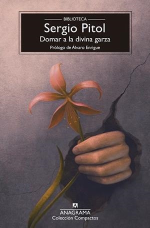 DOMAR A LA DIVINA GARZA | 9788433950987 | PITOL, SERGIO | Llibres Parcir | Llibreria Parcir | Llibreria online de Manresa | Comprar llibres en català i castellà online