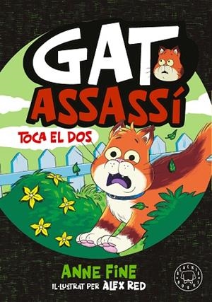 DIARI D’UN GAT ASSASSÍ. TOCA EL DOS. | 9791388154584 | FINE, ANNE | Llibres Parcir | Llibreria Parcir | Llibreria online de Manresa | Comprar llibres en català i castellà online