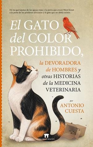 EL GATO DEL COLOR PROHIBIDO, LA DEVORADORA DE HOMBRES Y OTRAS HISTORIAS DE LA ME | 9791387941314 | ANTONIO CUESTA | Llibres Parcir | Llibreria Parcir | Llibreria online de Manresa | Comprar llibres en català i castellà online