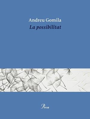LA POSSIBILITAT | 9791388369155 | GOMILA LLOBERA, ANDREU | Llibres Parcir | Llibreria Parcir | Llibreria online de Manresa | Comprar llibres en català i castellà online