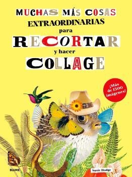 MUCHAS MÁS COSAS EXTRAORDINARIAS PARA RECORTAR Y HACER COLLAGE | 9791388023897 | HODGE, SUSIE | Llibres Parcir | Llibreria Parcir | Llibreria online de Manresa | Comprar llibres en català i castellà online