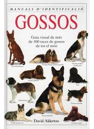 GOSSOS MAN IDENTIFICACIO | 9788428211086 | ALDERTON | Llibres Parcir | Llibreria Parcir | Llibreria online de Manresa | Comprar llibres en català i castellà online